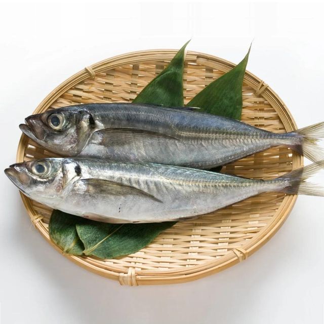 Frozen Mackerel Fish Export Ready Whole Seafood Processed Under Strict Quality Control For Global Buyers - Image 2