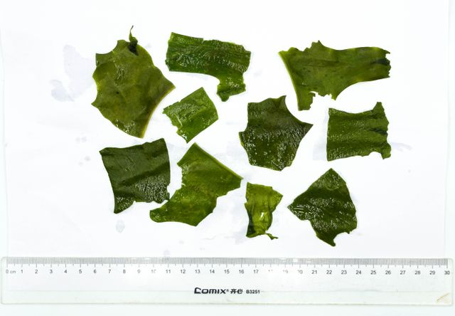 dried cut wakame Form Dried Texture Cut Origin China Features Vegan Product Type seaweed Quality Control Stringent Quality Focus High-quality - Image 1