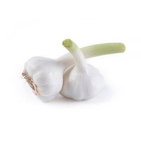 Wholesale Top Grade Fresh Peeled Garlic For Sale In Cheap Rate - Image 3
