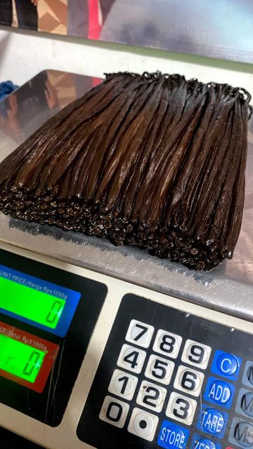 Indonesian Gourmet Super Premium Vanilla Beans – Vanilla planifolia, 19–21 cm CIF - Image 5