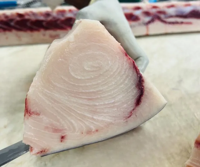 Swordfish Freshness Level Fresh - Image 5