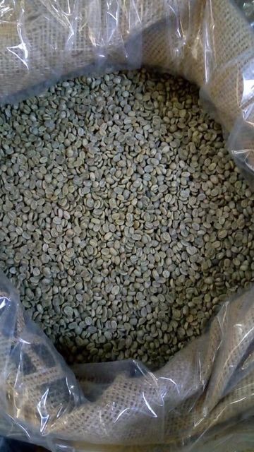 Premium Green Coffee Beans – Arabica & Robusta | Wholesale Bulk Supply - Image 3