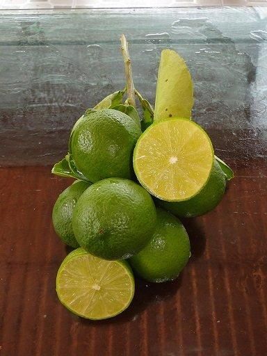 Song Nam Green Seedless Lime in VietNam Color xanh Place of Origin Viet Nam Brand Name Song Nam ITD Co., Ltd Availability Season Almost All Year Round - Image 2