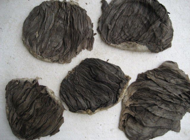 OMASUM SALTED - Image 1