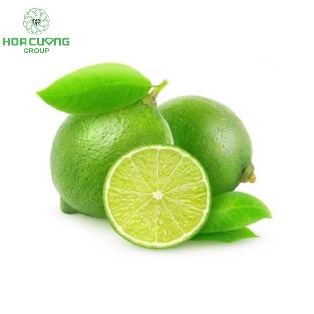 Seedless Lime Place of Origin Viet Nam Storage Humidity 85 – 90% Storage Temperature 5 – 8°c Private Label Option Available Upon Request - Image 1