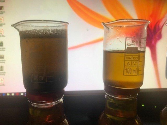 Black Cumin oil and others cold pressed - Image 1