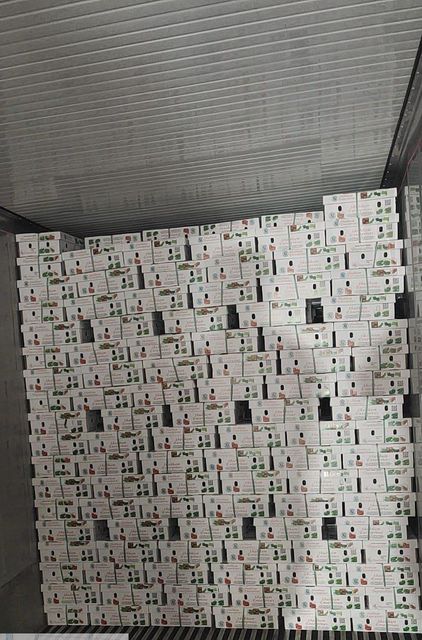 Fresh Green Chilli Origin Asia, India Product Type Fruits & Vegetables Supply Consistency Consistent Supply Loading Port Nhava Sheva / JNPT, India - Image 3