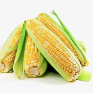 Cheap Dried Yellow Corn Online/ Dry Corn / Buy Dried Corn Maize/ Maize Yellow Corn Manufacturers / Non-GMO Dried Corn - Image 4
