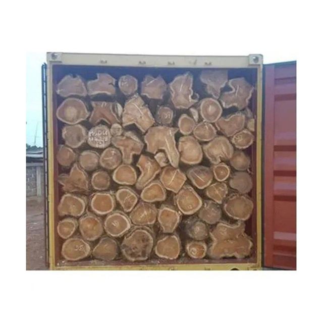African Teak Firewood Width > 100 cm to 140 cm Length > 120 cm to 140 cm - Image 3