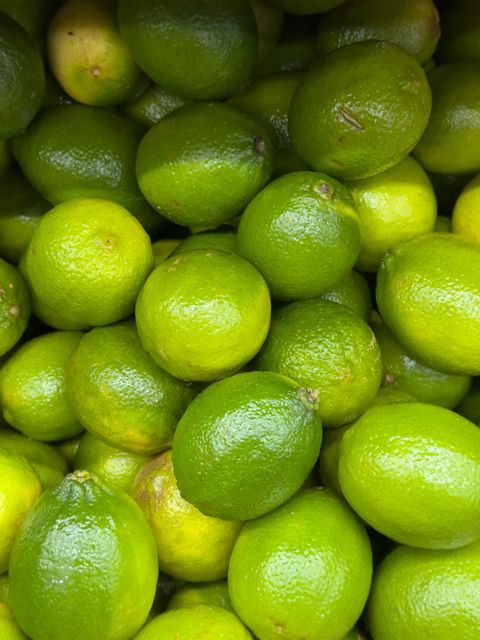 Fresh Lime Wholesale Bulk Export Supply Premium Quality Citrus Fruit High Quality for Supermarket - Image 5