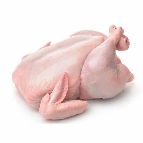 Buy Whole Frozen Chicken - Image 3