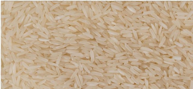 IRRI 9 Rice Features Organic Product Type Rice Origin Asia, Pakistan Place of Origin Pakistan - Image 1
