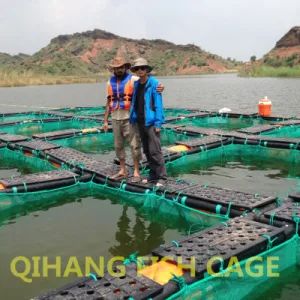 Carp Fish Farming, Catfish Farming Equipment for Sale - Image 1