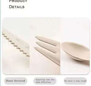 Sugarcane Pulp Spoons Disposable Biodegradable Paper Spoons Cutlery - Image 6