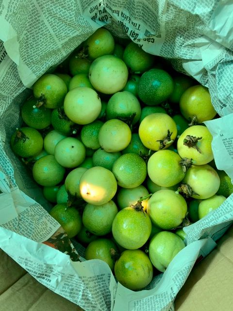 Yellow Passion Fruit 100% Organic High Quality from Vietnam - Best price for export - Image 4