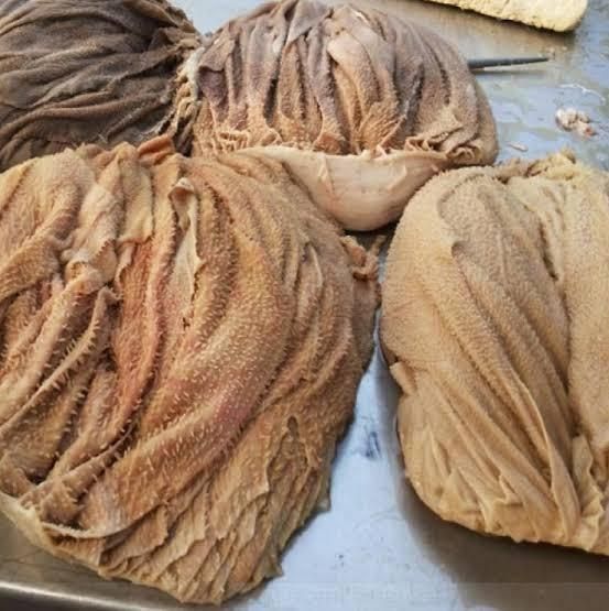 Frozen Beef Omasum Stomach Tripe Honeycomb IQF Vacuum Sealed Quality Clean Cut High Protein Low Fat Nutrient Rich Cooking Ingredient - Image 2