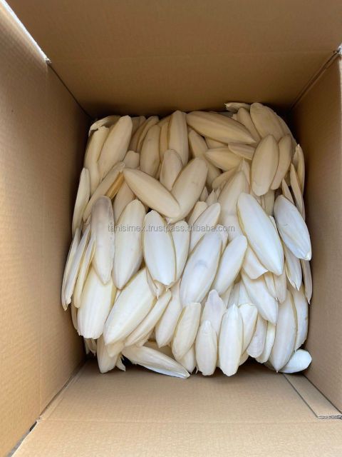 High quality Dried Cuttlefish bone for Pet food from Vietnam exporters - Image 2