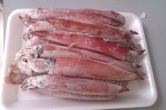 Frozen Calamari Export Quality Seafood Prepared For Bulk Buyer Demand With Natural Taste And Uniform Processing Standards - Image 1