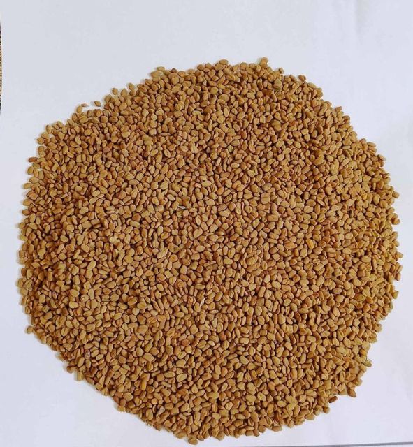 Fenugreek Seeds Purity 99% Admixture 1% Ash Content 8% Family Fabaceae Foreign Matter 1% Moisture Content 10% Form Whole, Dried Seeds - Image 3