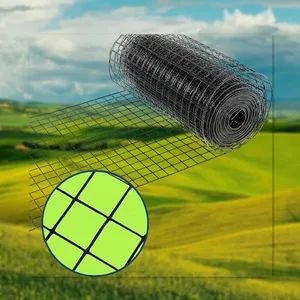 Green Anti Rust Welded Wire Mesh Made of PVC Powder Coating for Outdoor Fence - Image 5