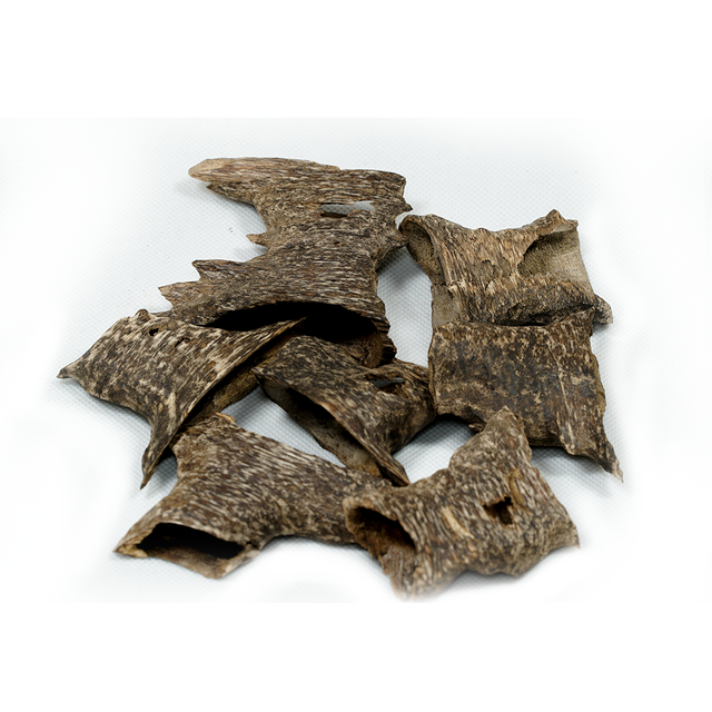 Best Top Quality Natural Oud wood Oud Wood Chips Grade Special AA+ - Image 1