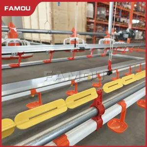 Meat Broiler Chicken Farming System Integrated with Chain Feeding Pan System - Image 5