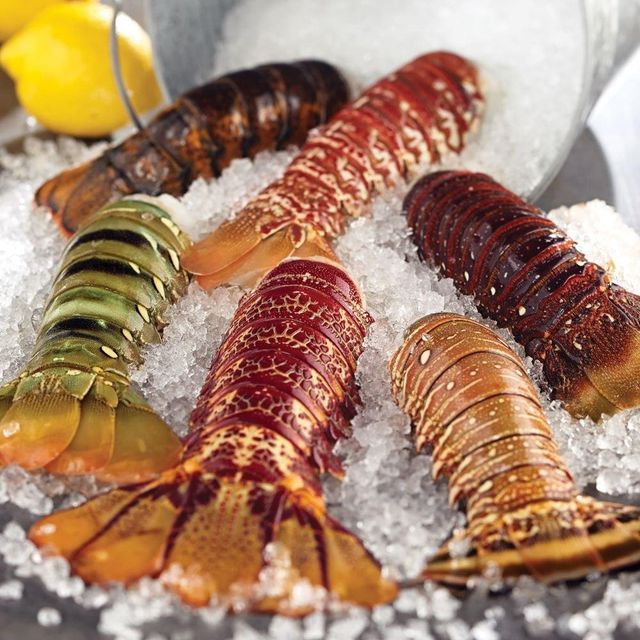 Fresh Frozen Crawfish Raw Live Brazilian Slipper Lobster Pure Natural Whole in Box with Highest Export Quality 5kg 7.5cm - Image 3