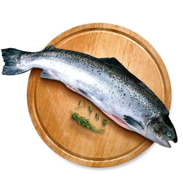 IQF Atlantic Salmon Fillet Frozen Pink Skinless Boneless Water Preserved Top Grade 10kg Packaged in Bag Box - Image 5