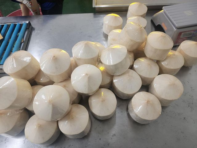 Fresh Coconut Packaging 9 pcs/box Weight Per Fruit 800–900 Grams Water Volume 300–350 Ml Per Nut Packing Quantity 9 Pieces Per Carton - Image 5