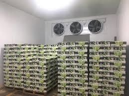 Fresh Lemon, Green Lime - Image 2