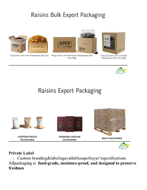 Golden Raisins, Indian Golden Raisins,Raisin, Raisins bulk supplier from india, Jumbo Raisins - Image 4