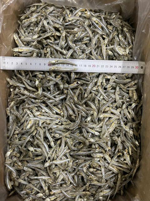 Dried Anchovy - Stolephorus commersonnii - Well - Qualified Origin Vietnam Impurities 3% Max Color Natural Color Shelf Life 12 Months - Image 3