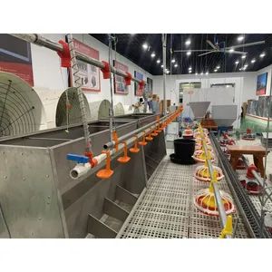 Poultry Farming Automatic Feeder Pan System for Broiler Origin China Model NO. MH Condition New Certificate CE Warranty 1 - Image 5