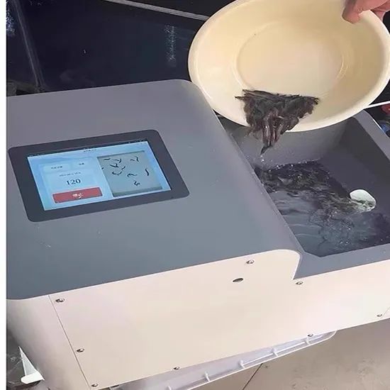 High-Precision Automatic Fry Counter for Aquaculture Intelligent Shrimp Fry Counting Machine Fish Fry Hatching Counting Machine - Image 6