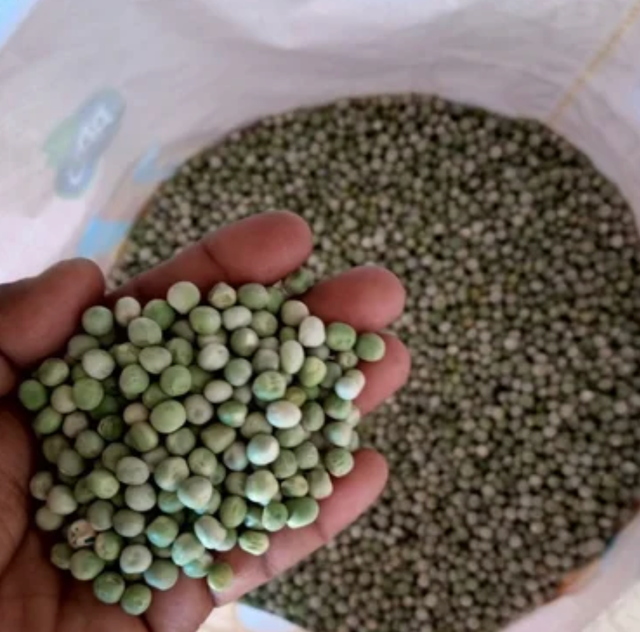 Dried Green peas - Image 3
