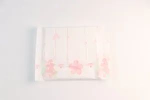 All-Day and Night Protection Sanitary Napkin Combo Pack - Image 3
