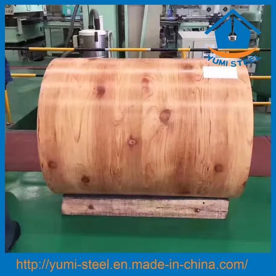 New Hot Dipped Prepainted Galvanized Steel Coils PPGI PPGL - Image 4