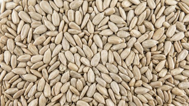Sunflower Kernels - Bakery - Image 1