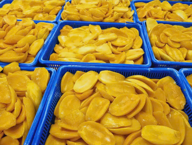 DRIED/ FROZEN MANGO FROM VIETNAM- Viet Delta – product photo 3, product detail gallery