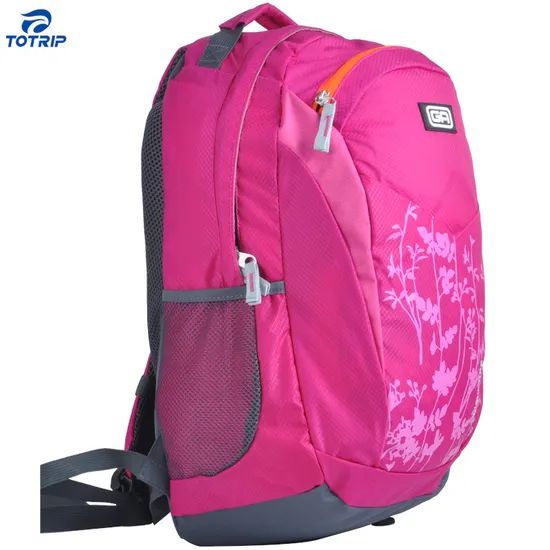 Big Capacity Functional Daily Convenient Pink Laptop Backpack - Image 3