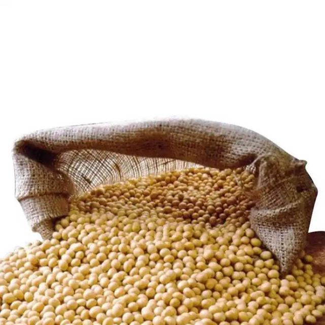 High Quality Premium Natural and Non- GMO Yellow Soybean Seeds / SoyaBean /Soy Beans Discount Price Soybeans - Image 2
