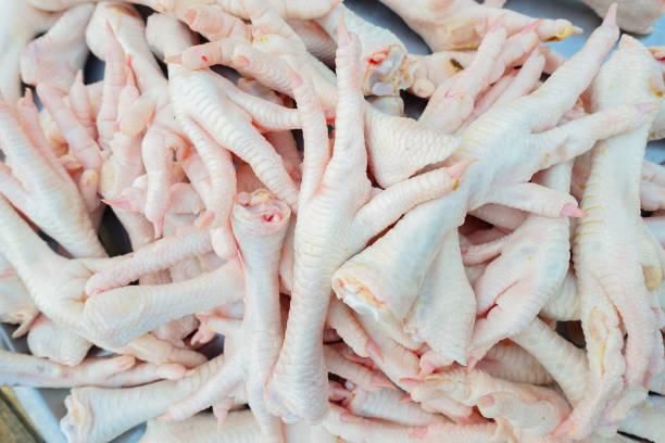 Frozen Chicken Feet Grade A — Export Quality, Halal Certified, Frozen at -18°C - Image 3