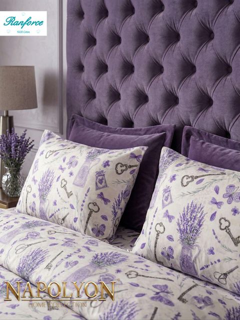 Home Ranforce cotton Bed sheets - Image 4
