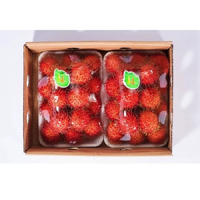 28-35 Pieces/kg Bulk Selling Fresh Fruit Agriculture Products Sweet Taste Carton Box Rambutan From Vietnam - Image 4