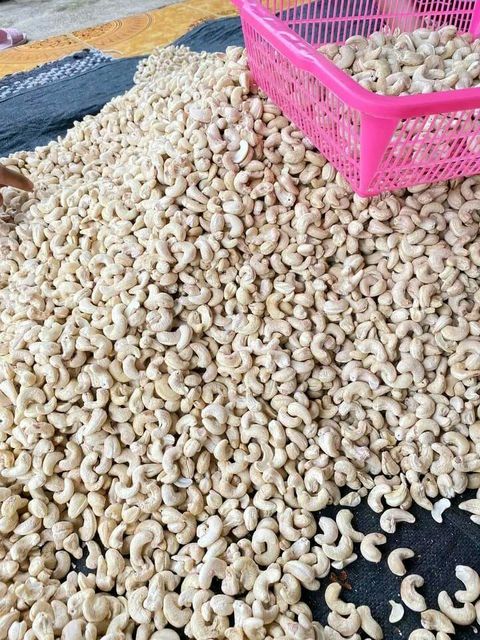 High-quality *CASHEW nuts _with WW180, WW240, WW320, WW450 - Image 3