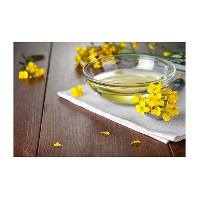 High grade canola oil offered for wholesale sourcing at competitive low price - Image 3