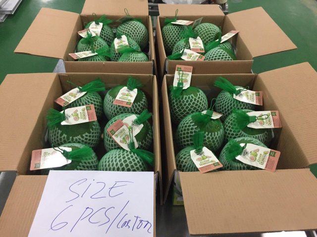 Fresh Pomelo From Vietnam Grade A Fresh Fruit Premium Quality Best Seller Fresh From Farm -WA LINDA 0084989322607 - Image 4