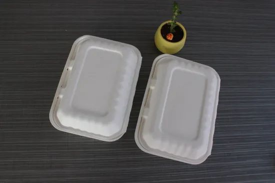 Disposable 9 X 6 X 3 Food Takeaway Box Sugarcane Food Container Tableware - Image 4