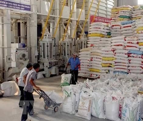 5% Broken Thai Jasmine Rice Shelf Life 2 YEARS Place of Origin - Image 3