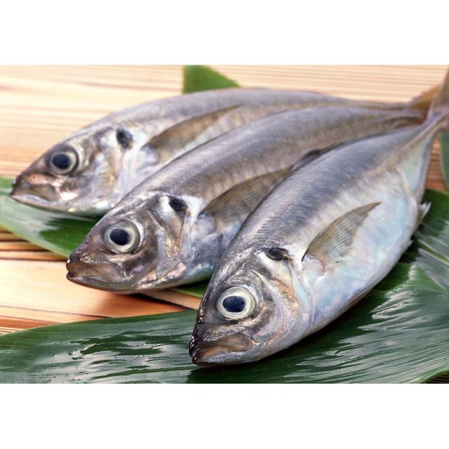 Frozen Mackerel Fish Export Ready Whole Seafood Processed Under Strict Quality Control For Global Buyers - Image 4